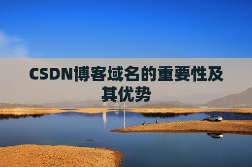 CSDN博客域名的重要性及其优势